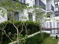 Okio (D12), Apartment #577079981